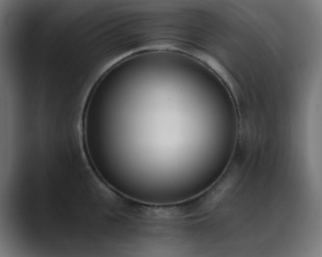 X0000089830951200706281209