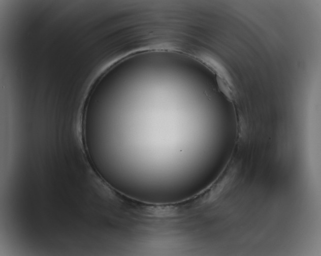 X0000089830952200706281209