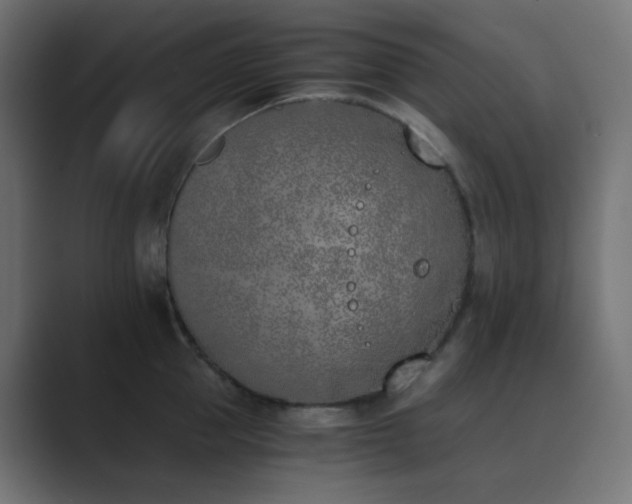 X0000089830953200706281209