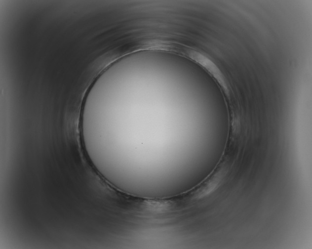 X0000089830954200706281209
