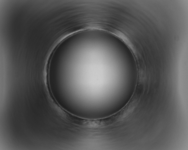 X0000089830955200706281209