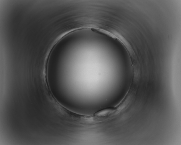 X0000089830956200706281209