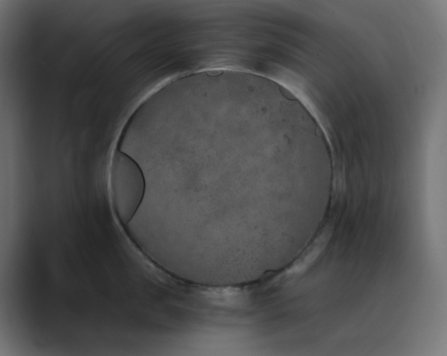 X0000089830957200706281209
