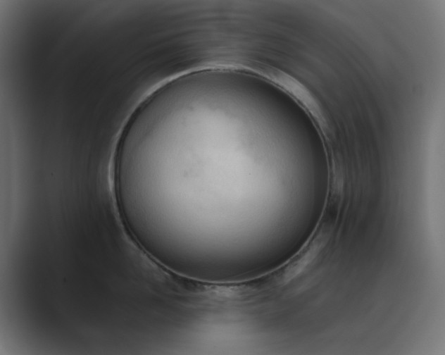X0000089830958200706281209