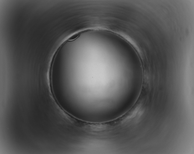 X0000089830959200706281209