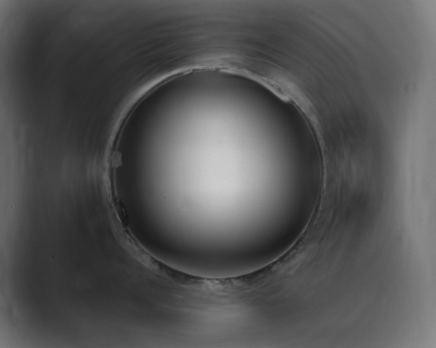 X0000089830960200706281209