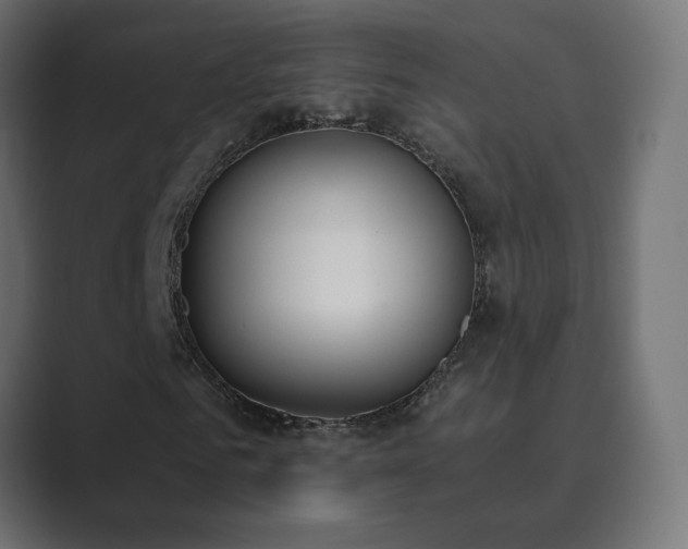 X0000089830961200706281209