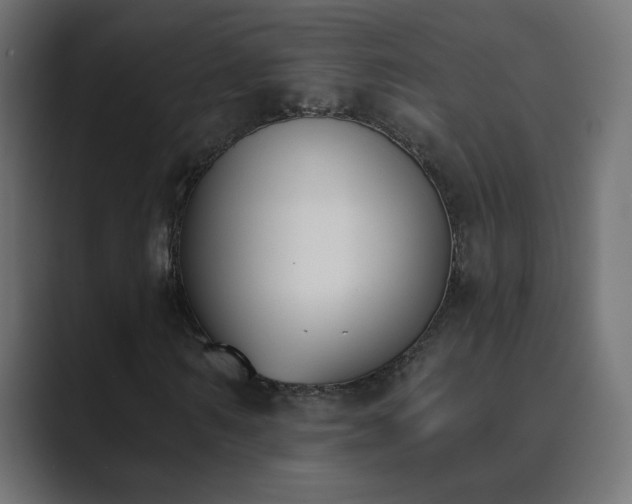 X0000089830962200706281209
