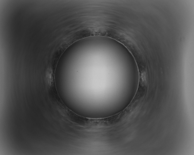 X0000089830963200706281209
