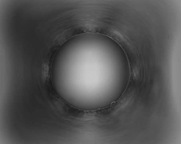 X0000089830964200706281209