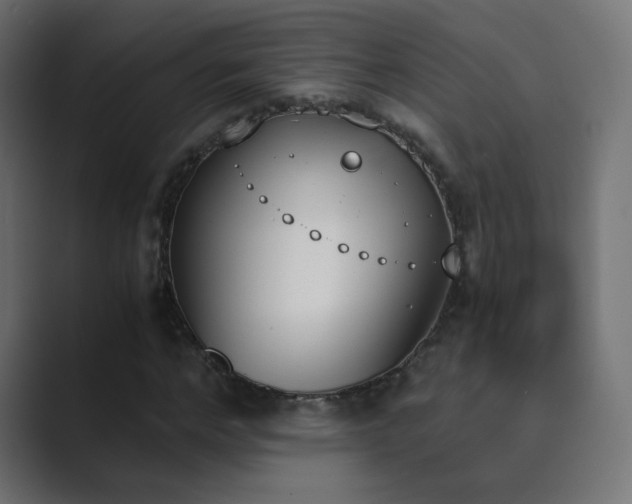 X0000089830968200706281208