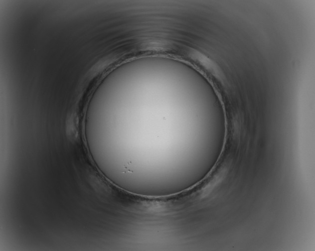X0000089830970200706281208