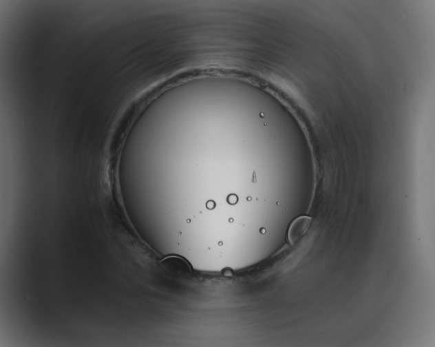 X0000089830974200706281208