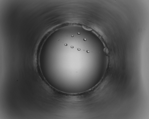 X0000089830976200706281208