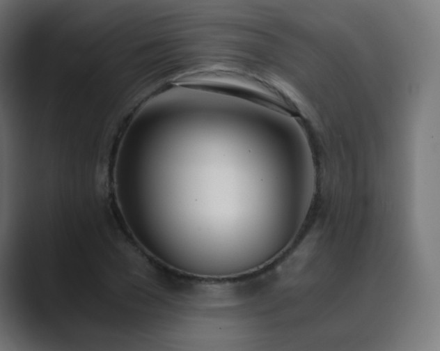 X0000089830977200706281208