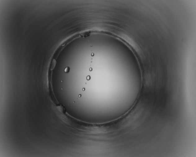 X0000089830980200706281208