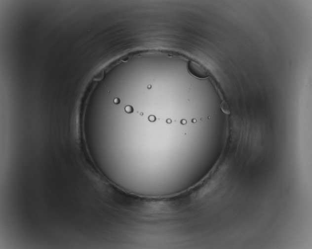 X0000089830982200706281208