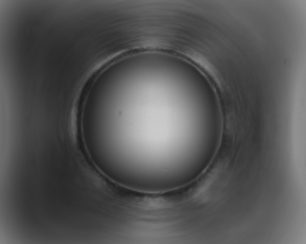 X0000089830983200706281208