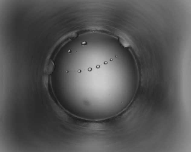 X0000089830984200706281208