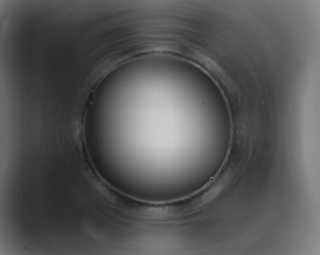 X0000089830985200706281208