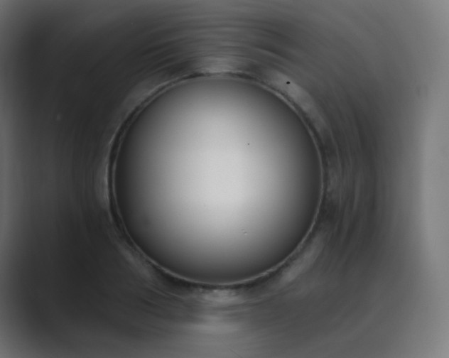 X0000089830986200706281208