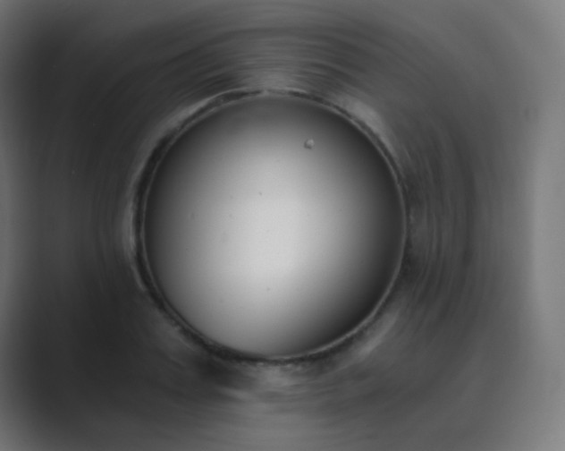 X0000089830987200706281208