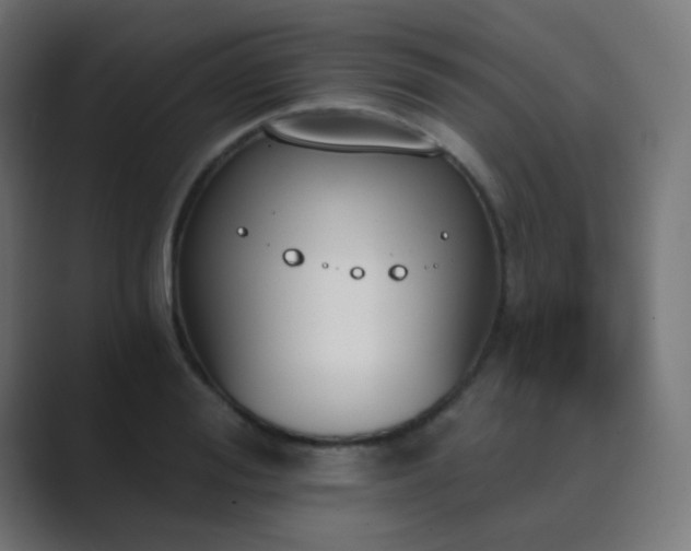 X0000089830988200706281208