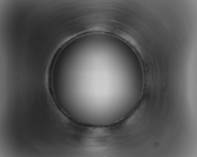 X0000089830991200706281208