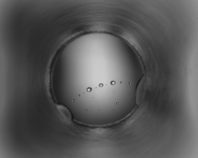 X0000089830992200706281208