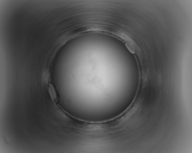 X0000089830993200706281208