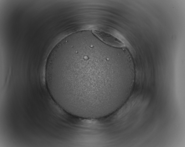 X0000089830994200706281208