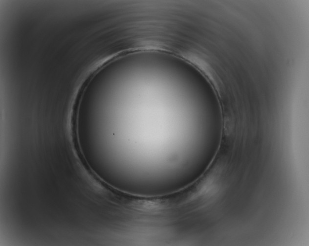 X0000089830995200706281208