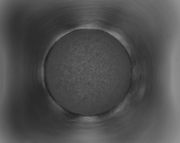 X0000089830998200706281208