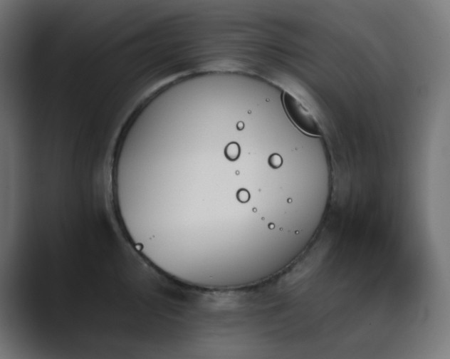 X0000089831000200706281208