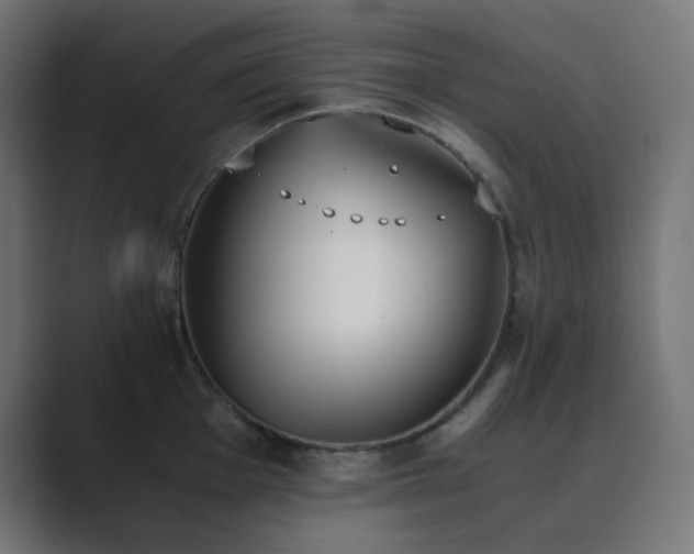 X0000089831001200706281208