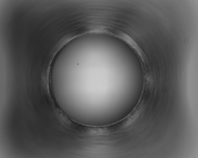 X0000089831002200706281208