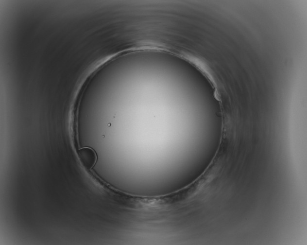 X0000089831003200706281208