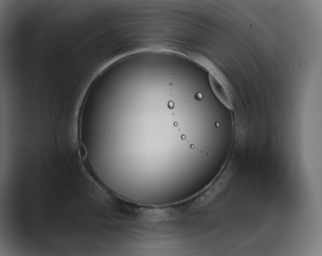 X0000089831004200706281208