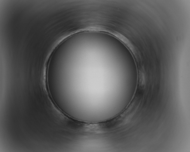 X0000089831006200706281208