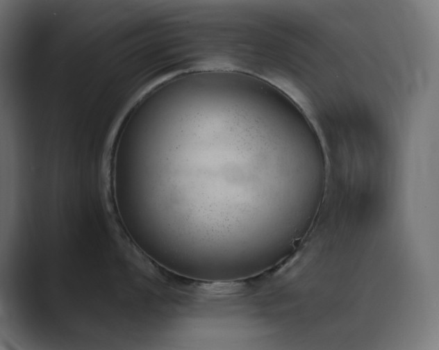 X0000089831008200706281208