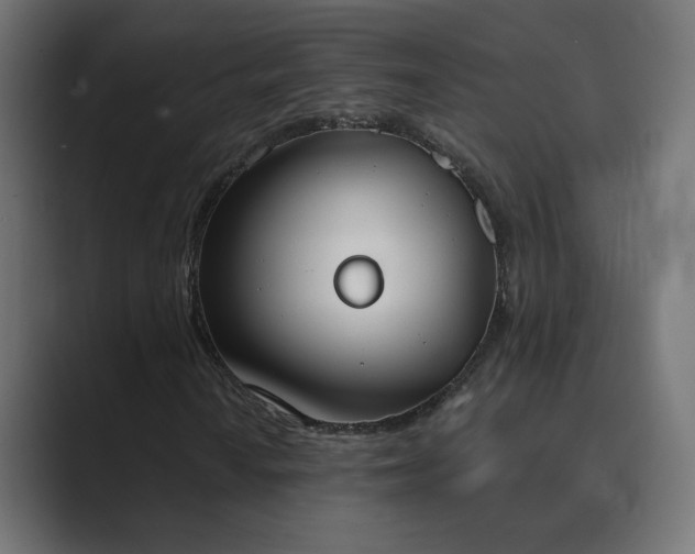 X0000089831010200706281207