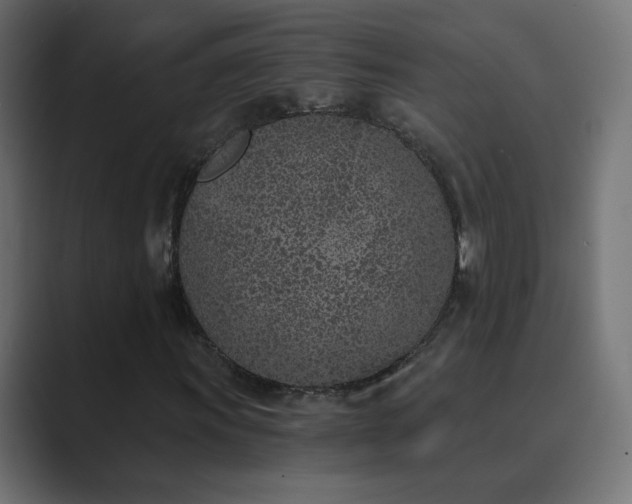 X0000089831011200706281207