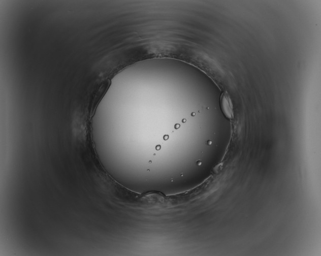 X0000089831012200706281207