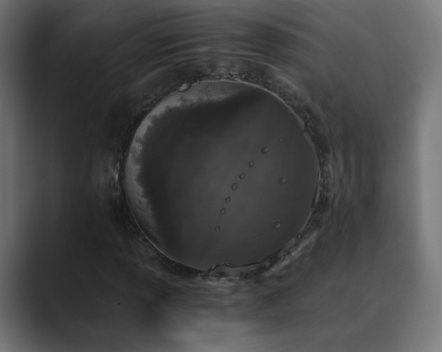 X0000089831013200706281208