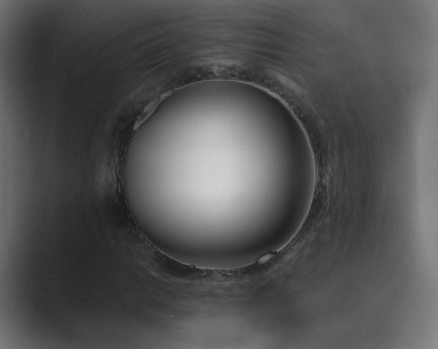 X0000089831014200706281208