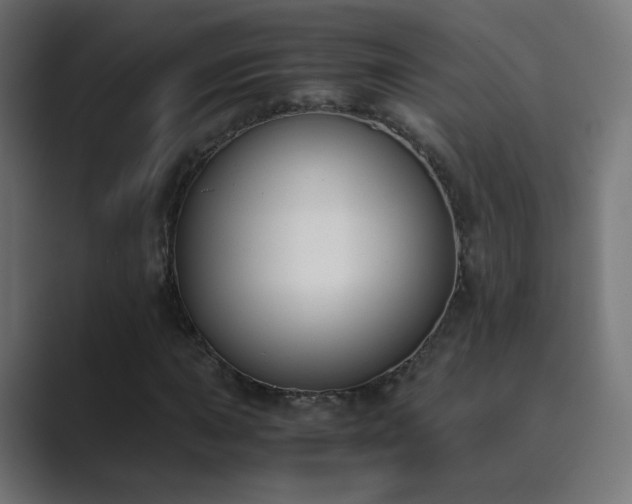 X0000089831015200706281208