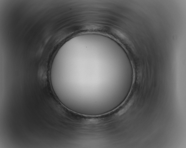 X0000089831017200706281208