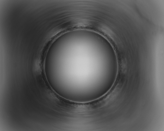 X0000089831018200706281208