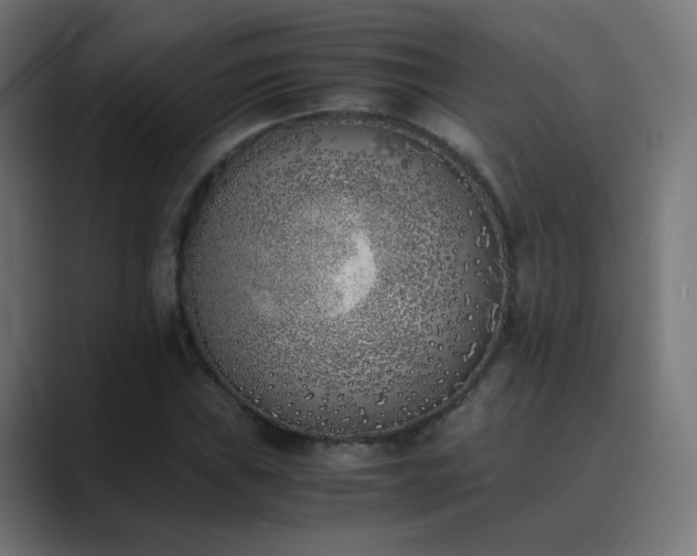X0000089831019200706281208