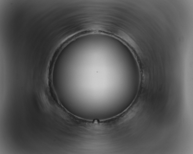 X0000089831020200706281208